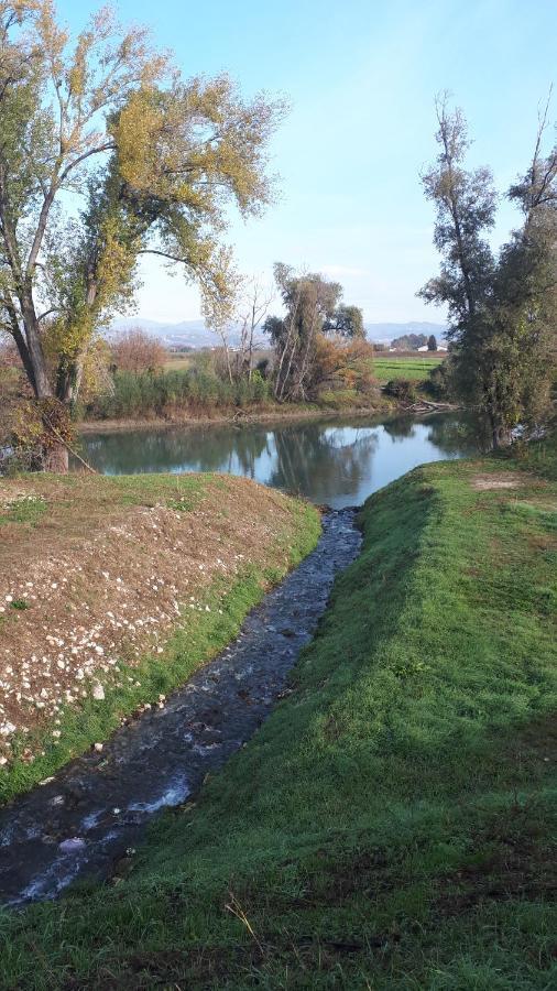 Sulla Ciclabile Apartment Lungo Il Fiume Adige Zevio Eksteriør bilde