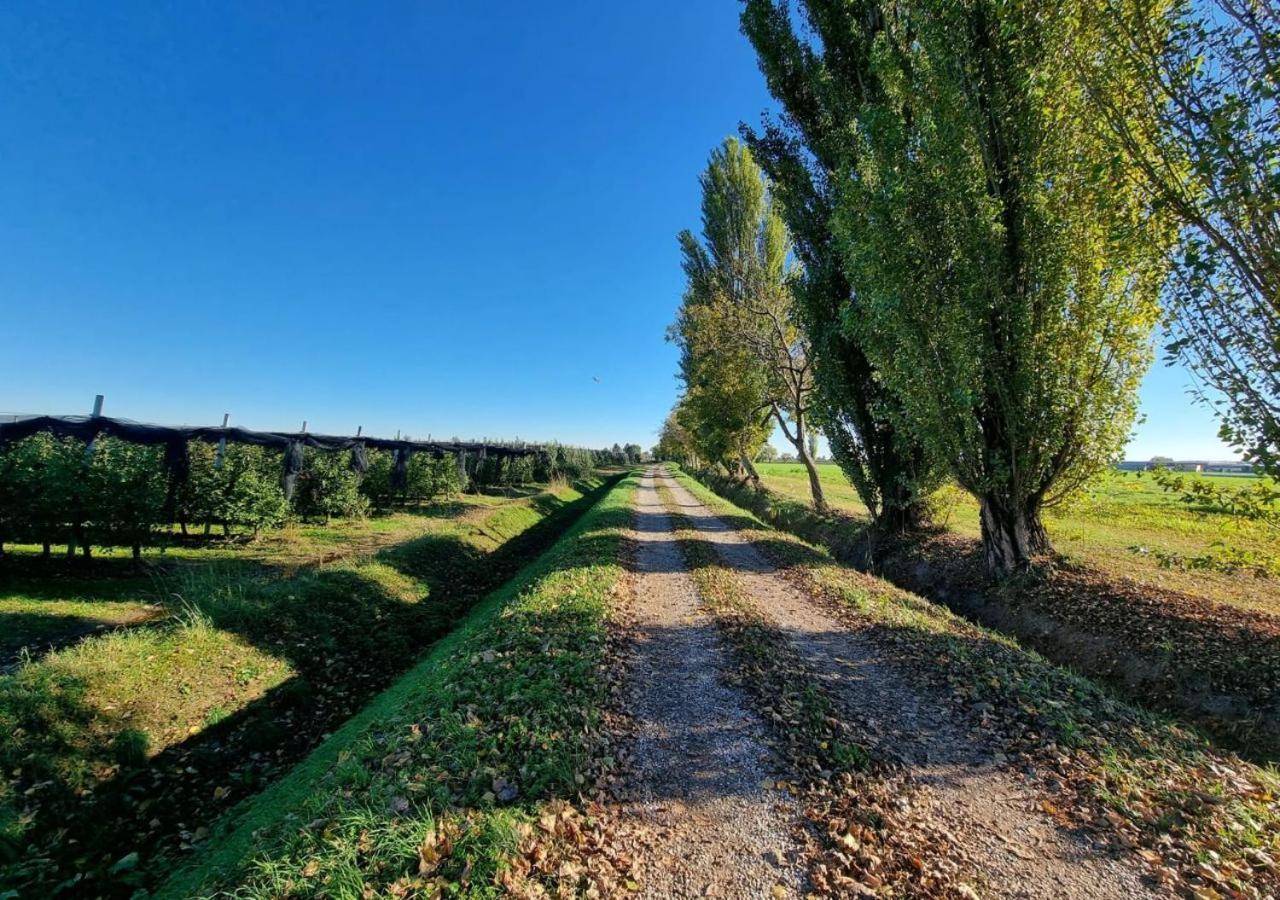 Sulla Ciclabile Apartment Lungo Il Fiume Adige Zevio Eksteriør bilde