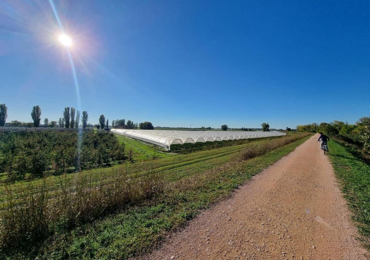 Sulla Ciclabile Apartment Lungo Il Fiume Adige Zevio Eksteriør bilde