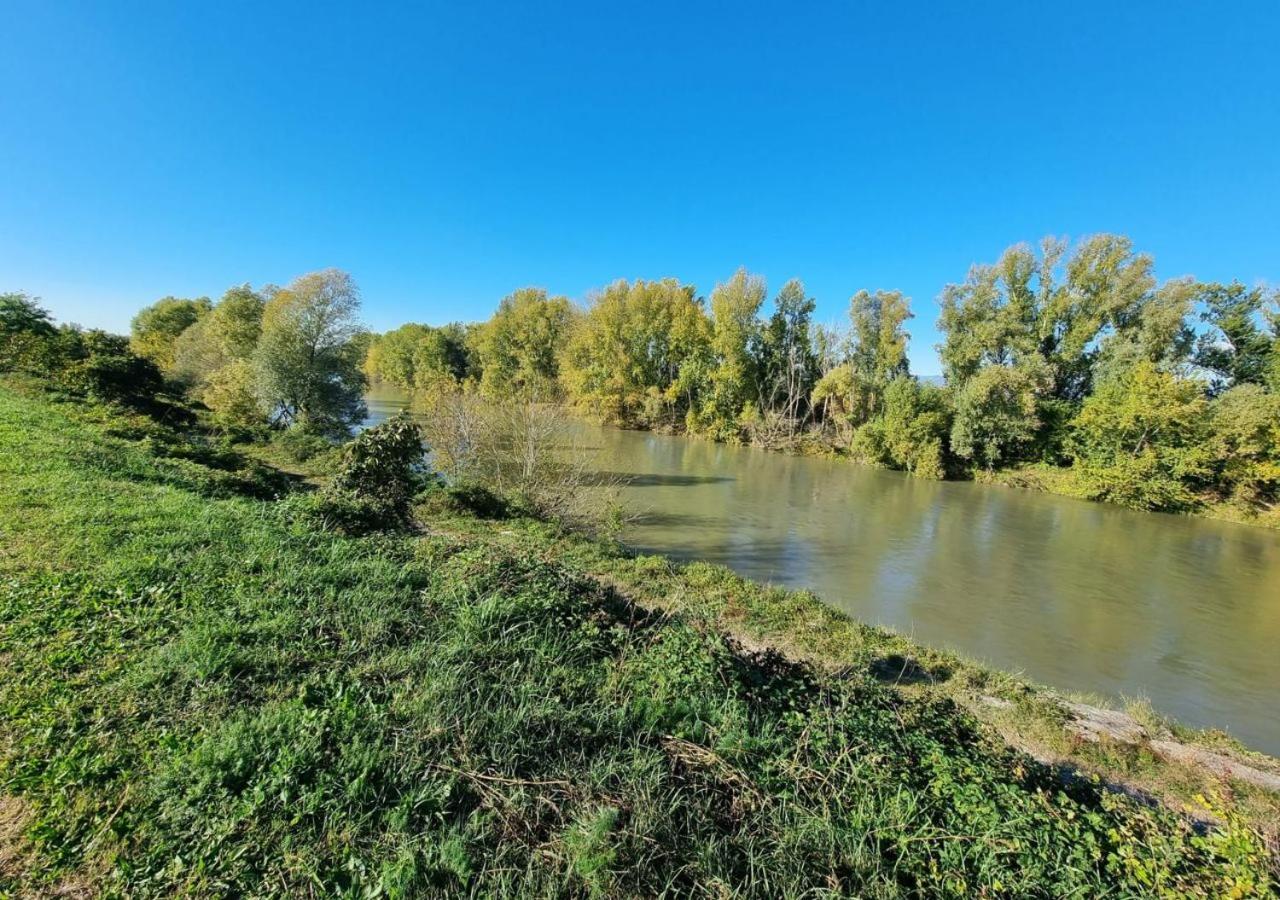 Sulla Ciclabile Apartment Lungo Il Fiume Adige Zevio Eksteriør bilde