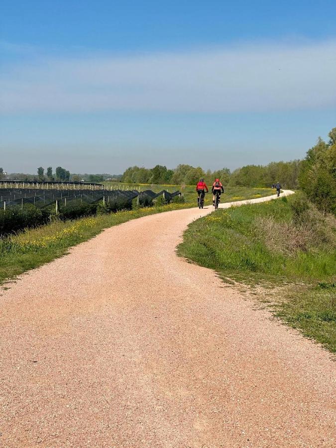 Sulla Ciclabile Apartment Lungo Il Fiume Adige Zevio Eksteriør bilde