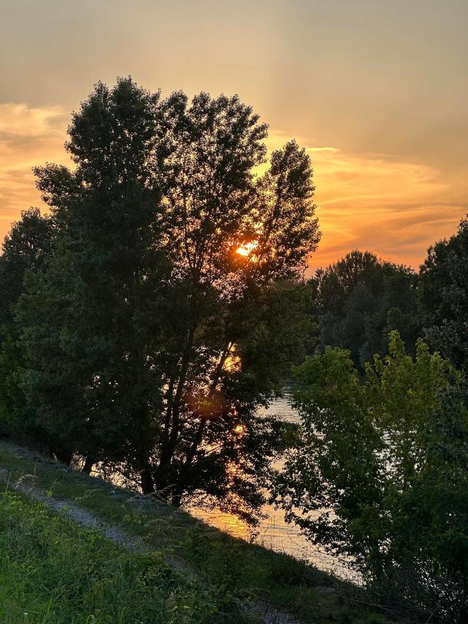 Sulla Ciclabile Apartment Lungo Il Fiume Adige Zevio Eksteriør bilde